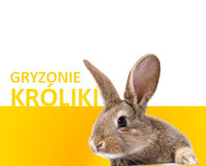 Promocje i okazje dla Królików i gryzoni