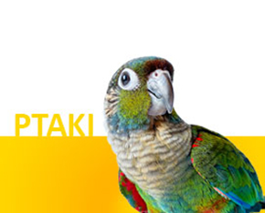 Pokarm dla Papug, Kanarków i Akcesoria